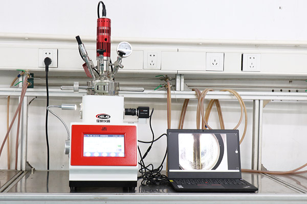帶側(cè)視窗的實驗室微型高壓反應釜